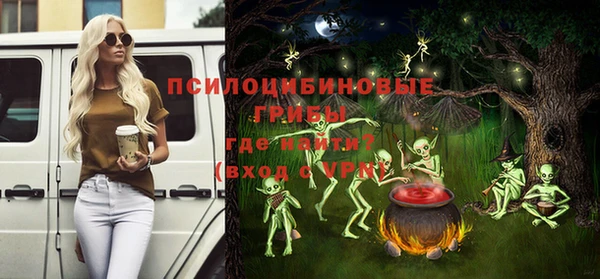 дурь Бородино