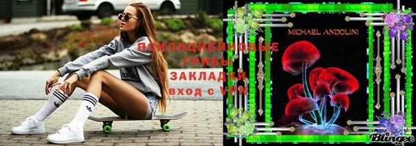 дурь Бородино