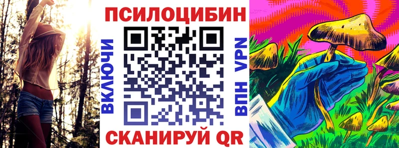 Псилоцибиновые грибы Magic Shrooms  дарнет шоп  Дигора 